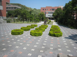 用户插入图片