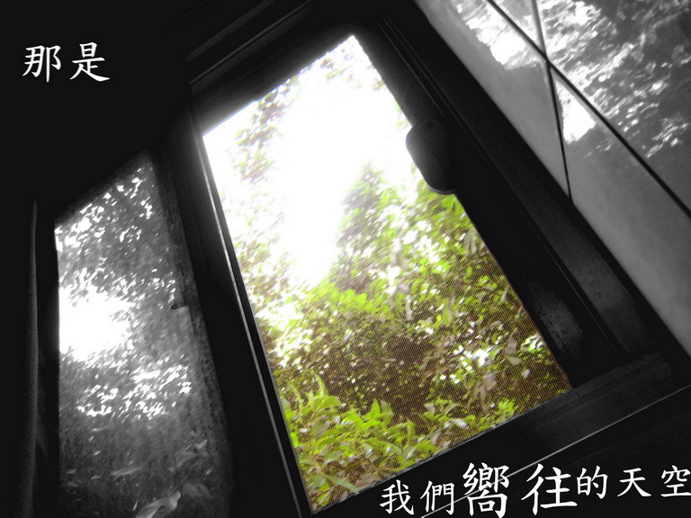 用户插入图片