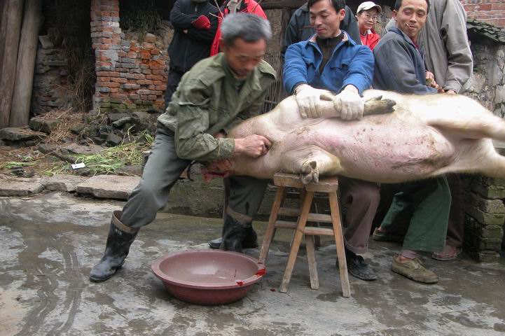 用戶插入圖案