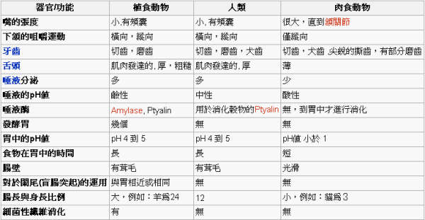 用戶插入圖案
