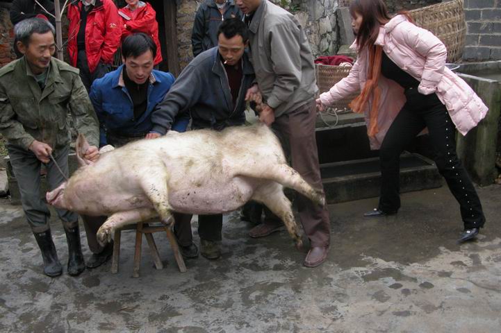用戶插入圖案