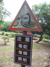 用戶插入圖案
