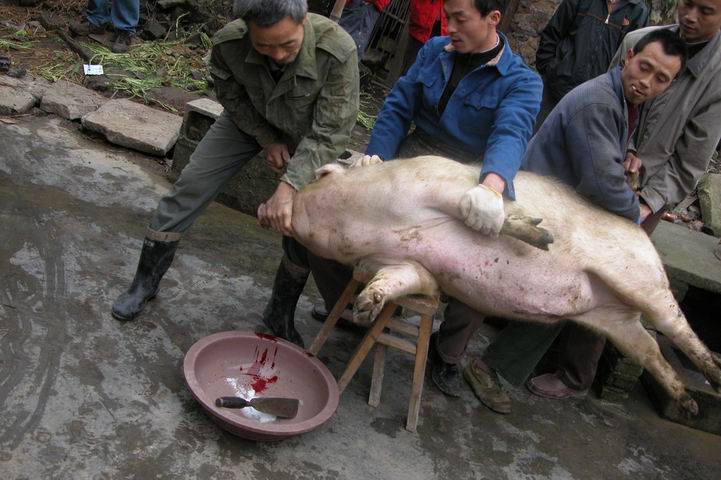 用戶插入圖案