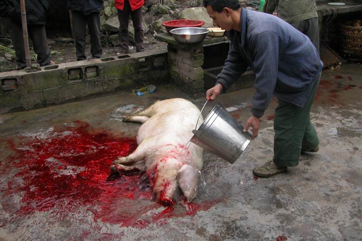 用戶插入圖案