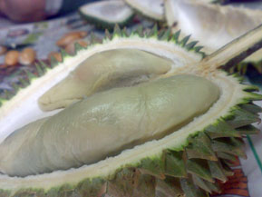 用户插入图片